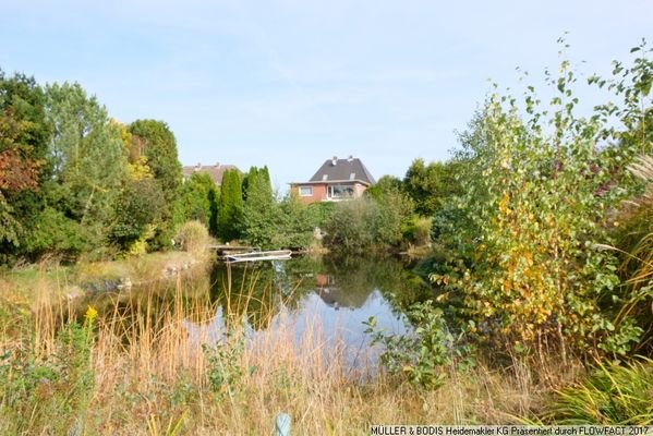 Blick über den Teich