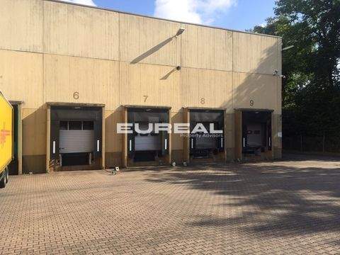 Gelsenkirchen Halle, Gelsenkirchen Hallenfläche