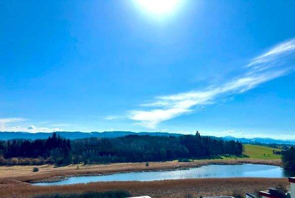 Blick auf den Neuravensburger See.jpg