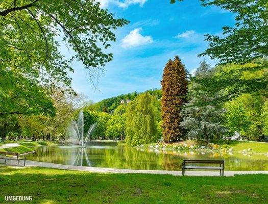 HP8-3-Zimmer-Wohnung-Salzburg-Umgebung