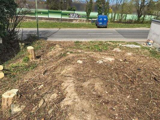 Grundstücksansicht 6