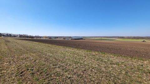 Marchegg Grundstücke, Marchegg Grundstück kaufen