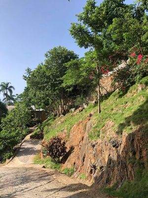 407267775_326125256843685_6209420475018044125_n