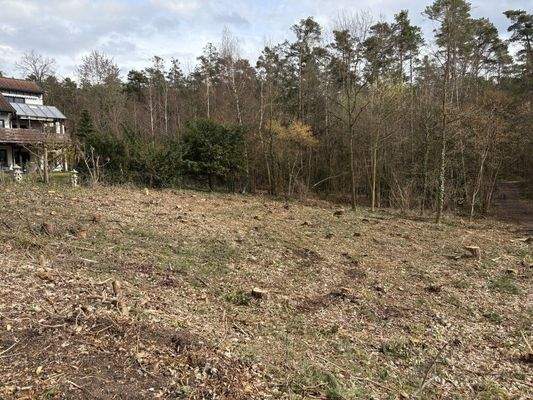 Baugrundstück Röttenbach 011