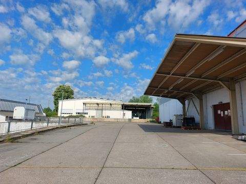 Mittweida Halle, Mittweida Hallenfläche
