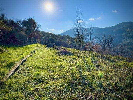 DA997_09_TERRA ITALIA IMMOBILIEN_REAL ESTATE_LAND_