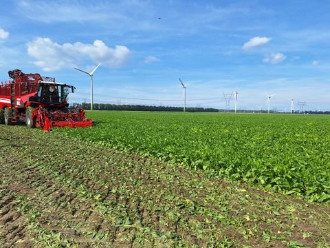 Laage Bauernhöfe, Landwirtschaft, Laage Forstwirtschaft