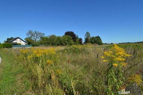 Wiener Neustadt Grundstücke, Wiener Neustadt Grundstück kaufen