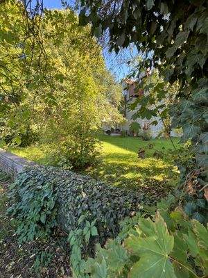 Blick ins Grundstück