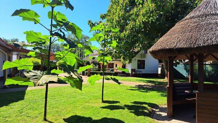 WhatsApp Image 2025-11-10 at 16.31.36 (2).jpeg