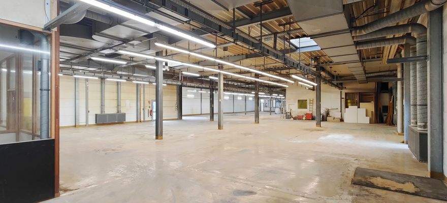 OG_Produktionsflächen_Blick_19