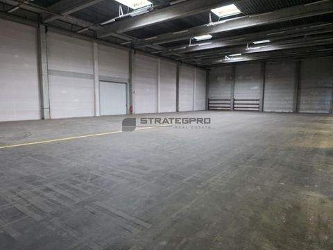 Edenkoben Halle, Edenkoben Hallenfläche