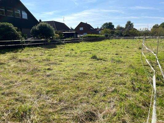 **Weiden/Außenbereich