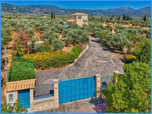 e569d59d5c1a45e7bec0ee46ce906e8f-original