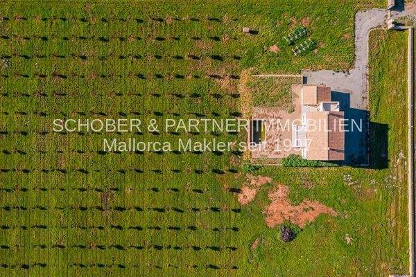 Finca Es Regalo 2, reale Bilder (2)