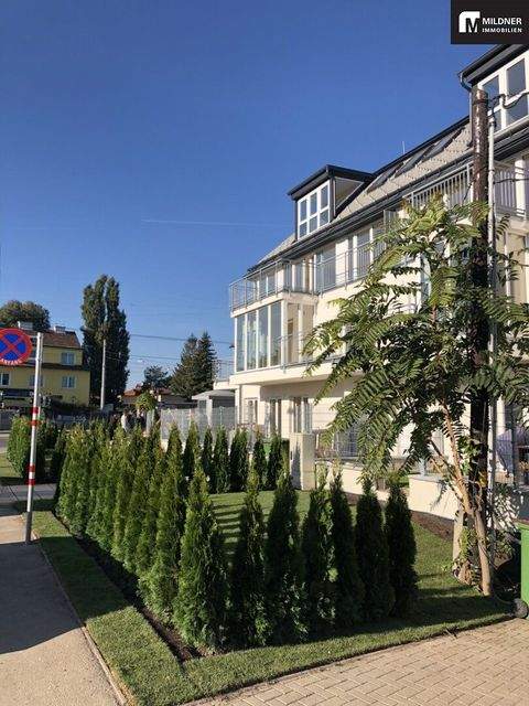 Wien Wohnungen, Wien Wohnung kaufen