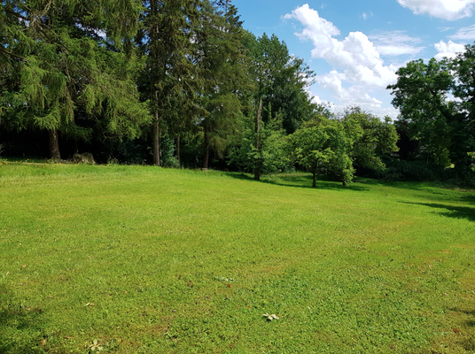 Wohnen in Strandnähe