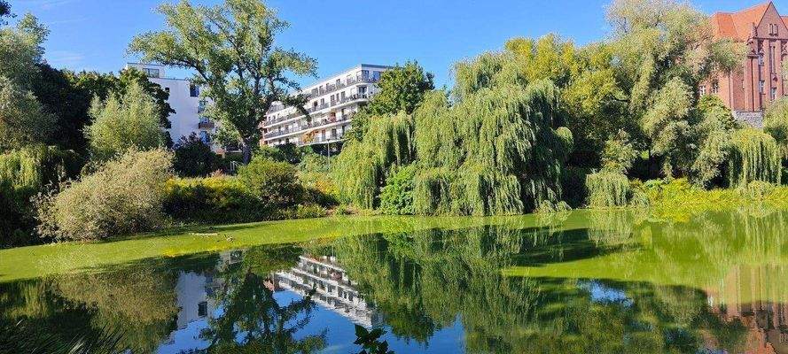 Traumlage am Kreuzpfuhl