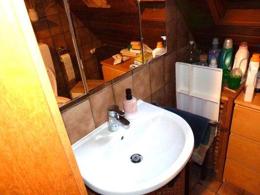 Kleines Tageslichtduschbad