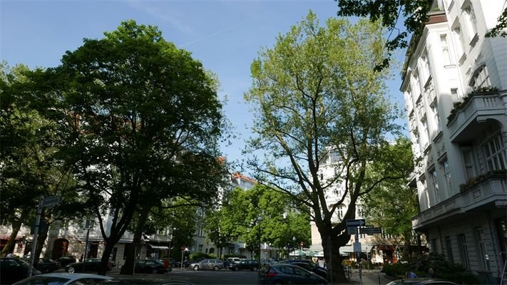 Blick zum Meyering-Platz