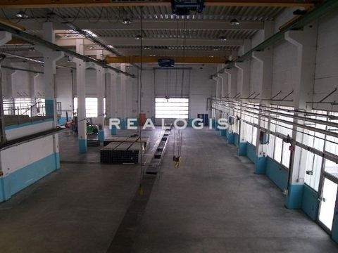 Plochingen Halle, Plochingen Hallenfläche