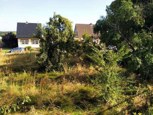 Blick von der Hauptstraße 2