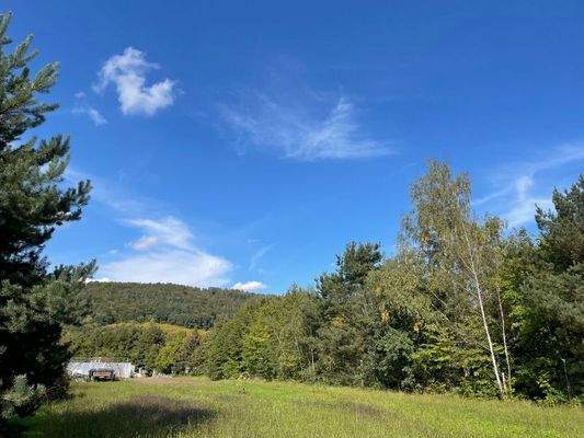 Ansicht von Südwest (2)