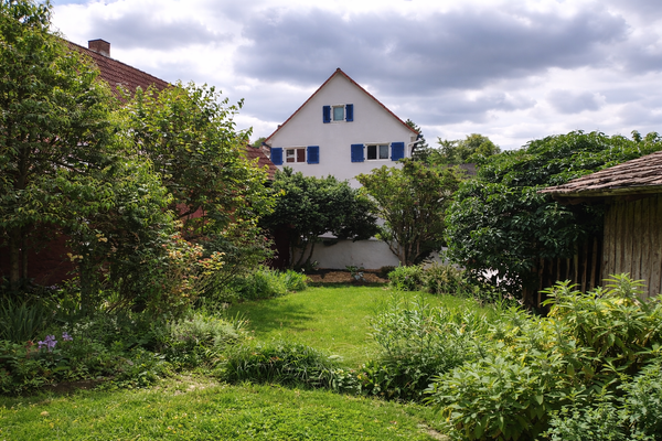 Sommerliche Gartenimpressionen