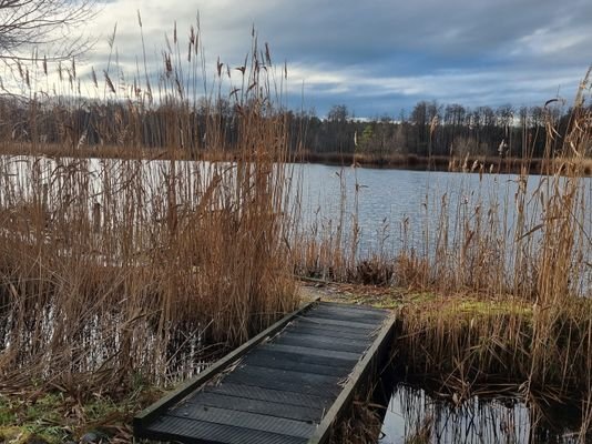 Wasser in der Nähe