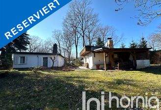 Blick aus dem Garten