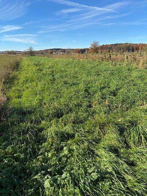 Wolnzach Grundstücke, Wolnzach Grundstück kaufen