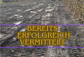 Bildschirmfoto 2025-07-22 um 08.38.16.png