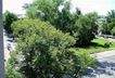 Ausblick aus der Wohnung Bild 1