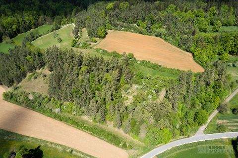 Birgland / Fürnried Bauernhöfe, Landwirtschaft, Birgland / Fürnried Forstwirtschaft