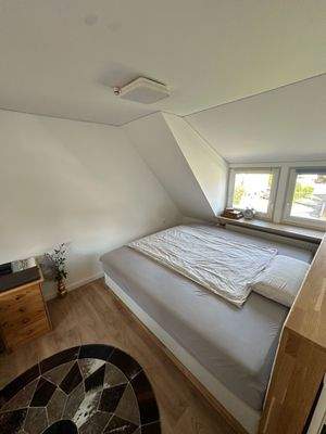 WhatsApp Image 2026-02-17 at 19.58.532.jpeg