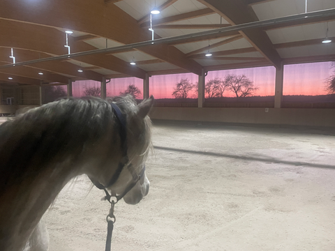 Weißenburg i. Bay. Bauernhöfe, Landwirtschaft, Weißenburg i. Bay. Forstwirtschaft