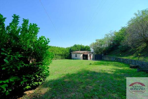 Rif 1369(Copy223).jpg