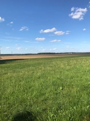 Blick auf die Wiese mit Weitsichtmöglichkeit