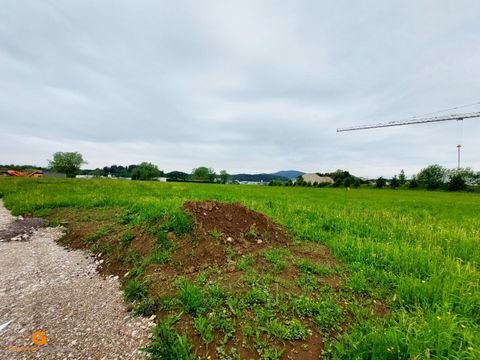 Neumarkt am Wallersee Industrieflächen, Lagerflächen, Produktionshalle, Serviceflächen