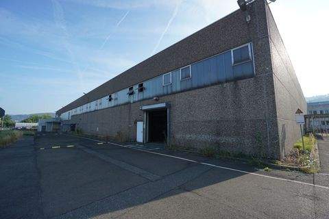 Hannoversch Münden Halle, Hannoversch Münden Hallenfläche