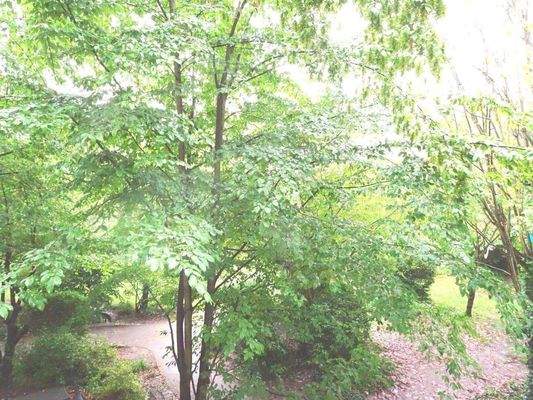 Blick aus dem Schlafzimmer