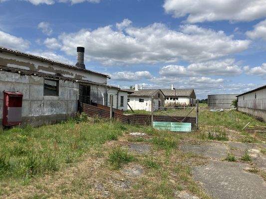 20250619_120152951_iOS