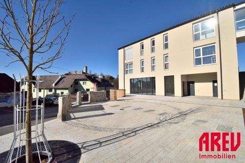 Waxenberg Halle, Waxenberg Hallenfläche