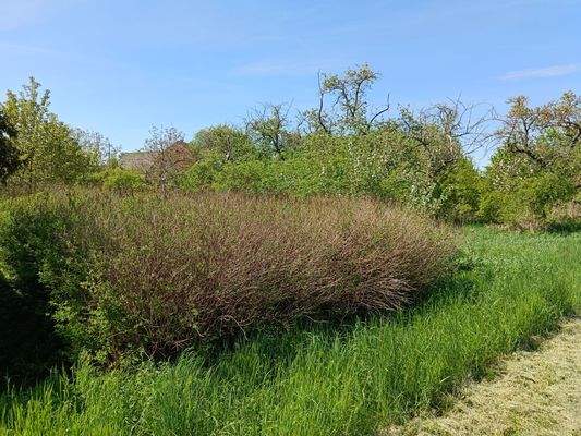 Blick von der Staatsstraße