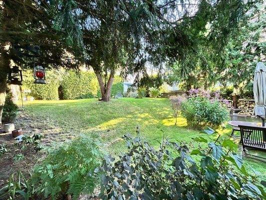 Garten hinter dem Haus