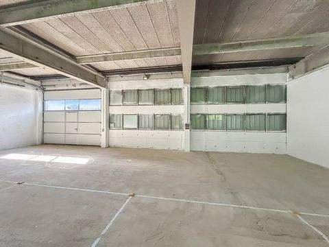 Zwiesel Halle, Zwiesel Hallenfläche