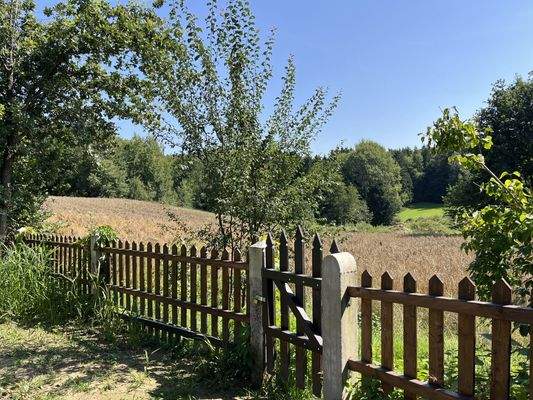 Ausblick. Zaun Natur