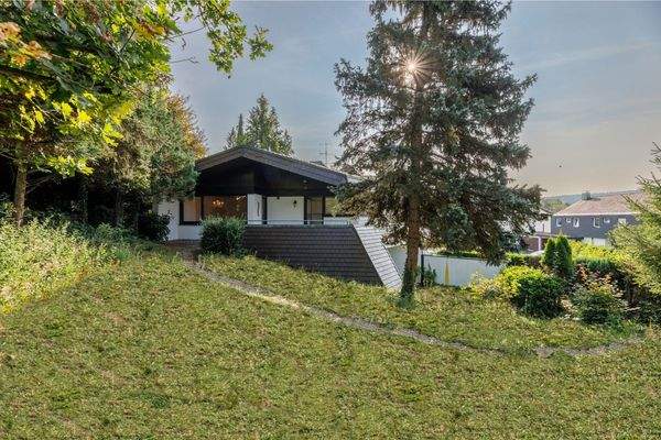 Blick aus dem Garten