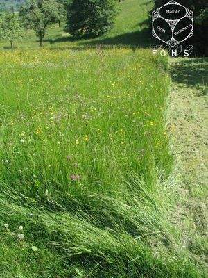 Bad-Überk.Flur 728/0=2.199 m² Eichholz 1