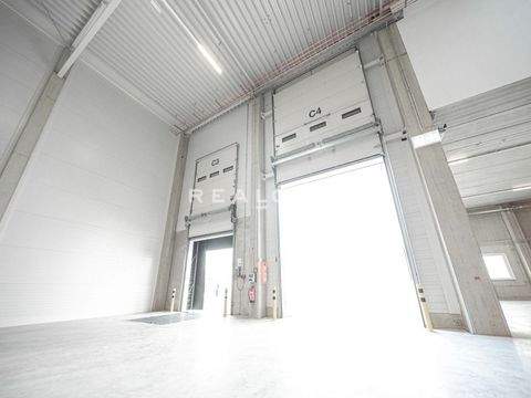 Neuss Halle, Neuss Hallenfläche